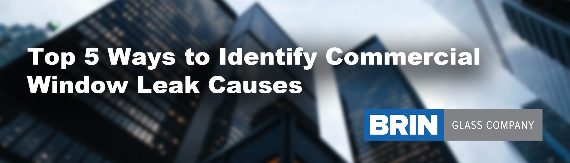 Top 5 Ways to Identify Commercial Window Leak Causes Brin Glass Company